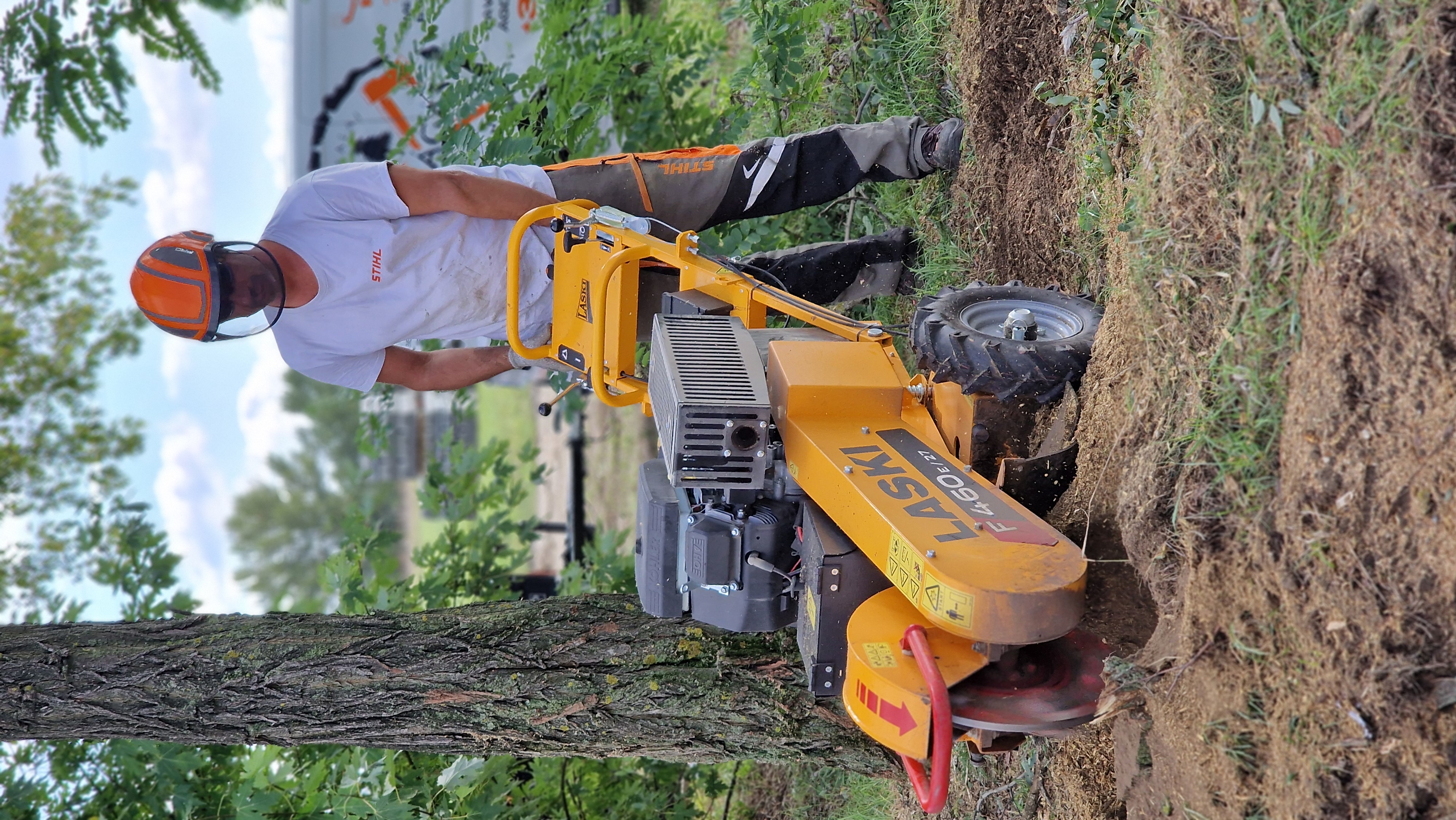 Favágás - helyszíni munkavégzés