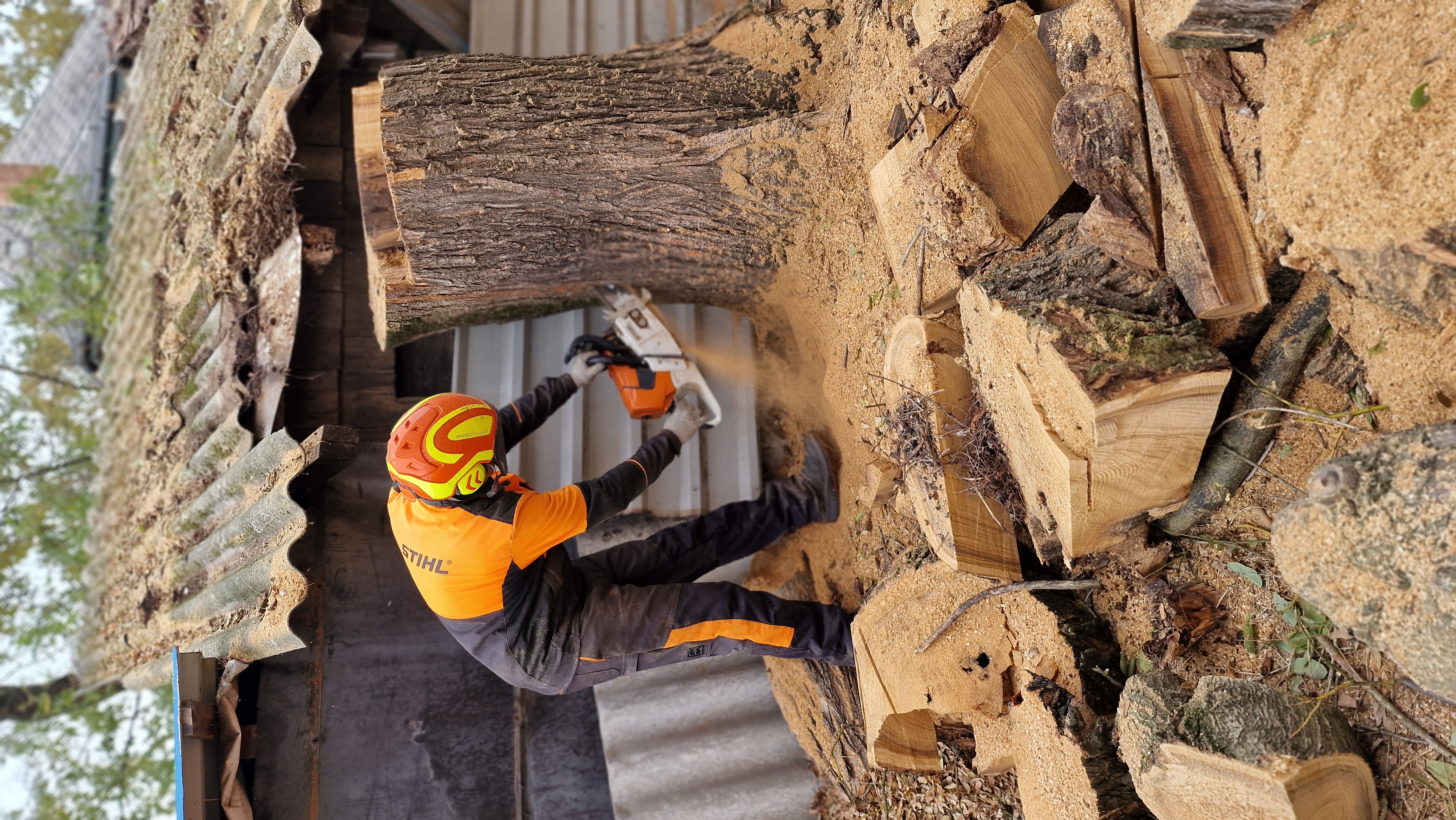 Favágás munkálatok - eredmény